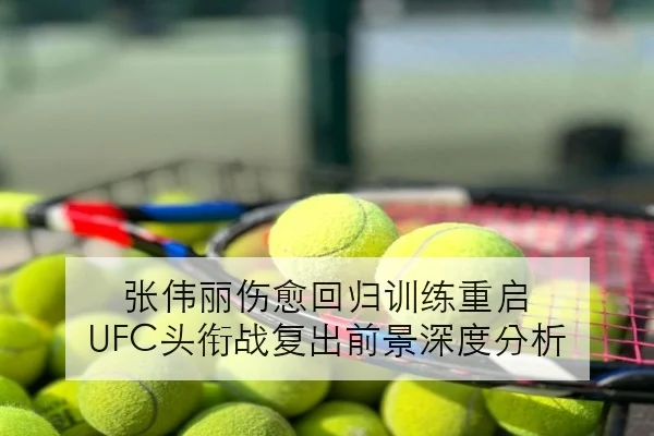 樊振东热身赛连胜后状态回暖正手质量变化引发球迷热议
